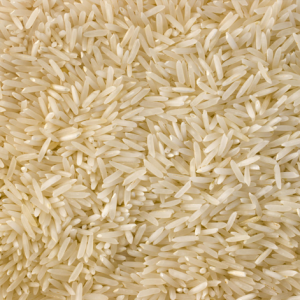 কাঠরিভোগ চাল(Kathribhog Rice) <br> 25KG